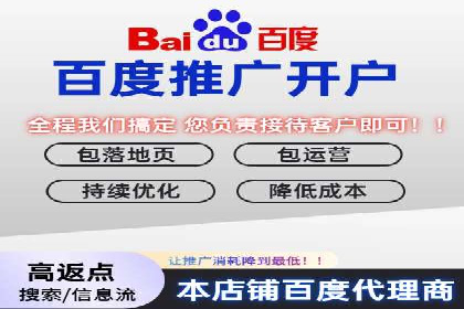 百度推广费用策略在竞争激烈市场的应用案例
